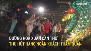 Đường hoa xuân Cần Thơ thu hút hàng ngàn khách tham quan