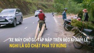 Xe máy chở gỗ tấp nập trên đèo Khánh Lê nghi là gỗ chặt phá từ rừng