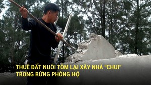 Thuê đất nuôi tôm lại xây nhà “chui” trong rừng phòng hộ