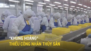 “Khủng hoảng” thiếu công nhân thủy sản