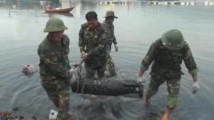 Phát hiện ngư lôi dài 1m, nặng gần 100kg khi thi công tuyến đê ven biển