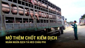 Đồng Nai mở thêm chốt kiểm dịch ngăn ngừa dịch tả heo châu Phi