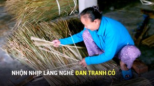 Nhộn nhịp làng nghề đan tranh cỏ