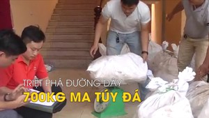 Triệt phá đường dây vận chuyển, tàng trữ 700kg ma túy đá