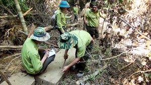 Truy quét lâm tặc phá rừng phòng hộ tại suối Trà Veo