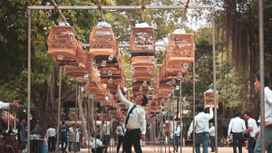 Sôi nổi hội thi chim chào mào