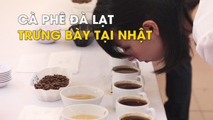 Cà phê Đà Lạt sẽ được trưng bày ở Nhật Bản