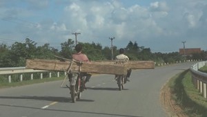 Lâm tặc ngang nhiên chở gỗ lậu giữa ban ngày trên QL26