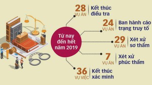 Công bố 8 'đại án' sẽ xét xử trong năm 2019