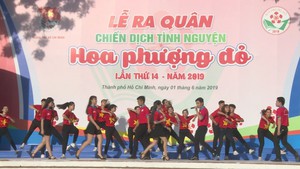 Nâng cao ý thức bảo vệ môi trường qua chiến dịch Hoa phượng đỏ