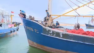 Nợ xấu của các khoản vay đóng tàu ngày càng tăng