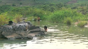 “Săn” hến giữa đại ngàn