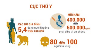 Chó thả rông tung hoành, người dân lãnh đủ