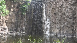 Phát hiện một 