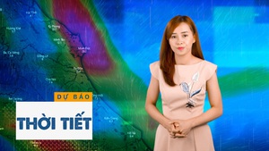 Bản tin dự báo thời tiết 20-10: Cảnh báo sóng cao, mưa đặc biệt to và áp thấp nhiệt đới mới