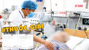 Video: Có thuốc giải độc liên quan đến vụ patê Minh Chay, giá hàng ngàn USD một lọ