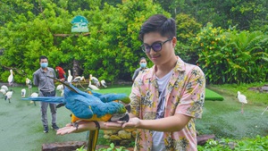 Theo chân Kỳ Vĩ khám phá VinWonders Phú Quốc: Tập 3- Phần 1: Trải nghiệm Vinpearl Safari