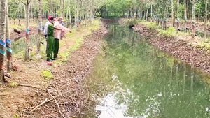 Video: Phát hiện 2 cháu bé 9 tuổi tử vong thương tâm dưới mương nước vườn cao su