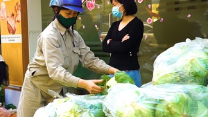 Video: Nông dân Hải Dương gọi, người dân Hà Nội ‘lên tiếng’