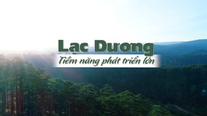 Góc nhìn trưa nay | Không phá rừng, nhà đầu tư sẽ được tạo nhiều điều kiện để phát triển