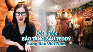 'Đột nhập' bảo tàng gấu Teddy hàng đầu Việt Nam trước giờ khai trương