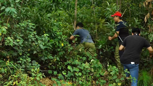 Video: Bao vây khu vực hồ thủy lợi truy bắt nghi can giết mẹ vợ