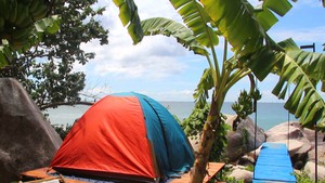 Góc nhìn trưa nay | Trải nghiệm ngủ lều bên triền đá và những gốc nhãn cổ thụ gần 100 tuổi