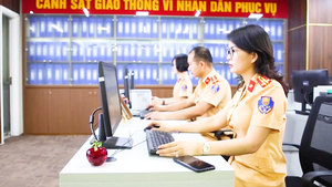 Sẵn sàng chi 2 tỉ cho biển ngũ quý 5 trong phiên đấu giá biển số ô tô siêu đẹp đầu tiên