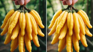 28 loại trái cây kỳ lạ nhất thế giới thì có tới 15 loại có mặt tại Việt Nam