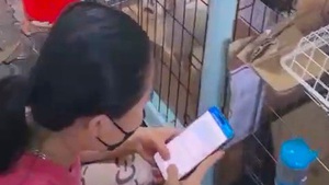 Lại náo động vì nuôi chó: 19 con chó cùng đồ đạc bị dọn ra khỏi chung cư