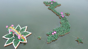Nhìn từ flycam 'bản đồ' Việt Nam kết bằng 5.000 chậu sen