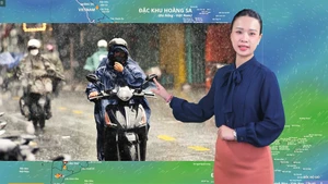 Thời tiết đêm 11 ngày 12-10: Bắc Bộ sáng sớm vài nơi có sương mù; Nam Bộ mưa về chiều tối