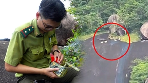 Toàn cảnh khu vực người dân nói thấy 'khỉ trắng', kiểm lâm đang đặt bẫy ảnh xác minh