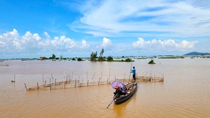 Nước nổi đỏ quạch các cánh đồng giáp biên ở An Giang