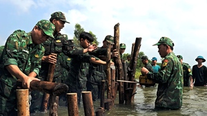 Bộ đội Tây Ninh giúp dân gia cố đê bao bị thủng do lũ ở Đồng Tháp Mười