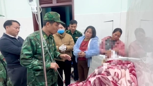 Người đàn ông đi thăm rẫy trên đường về bị gấu tấn công, phải nhập viện cấp cứu
