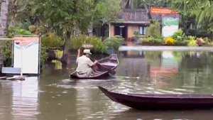 Khu du lịch Bình Quới chìm trong triều cường, sinh hoạt của người dân bị đảo lộn