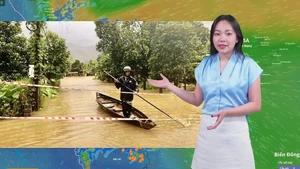 Thời tiết đêm 29 ngày 30-10: Nghệ An đến Quảng Ngãi mưa to đến rất to, biển động, sóng cao