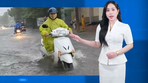 Thời tiết đêm 1 ngày 2-11: Nghệ An đến Quảng Ngãi còn mưa to, Bắc Bộ trời chuyển rét