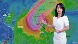Thời tiết đêm 10 ngày 11-10: Bão Phượng Hoàng (cơn bão số 14) vào biển Đông, sóng cao, biển động dữ dội