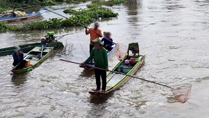 Mạng xã hội phản ánh nạn xuyệt điện bắt cá tại cống Tha La, An Giang yêu cầu chấn chỉnh ngay