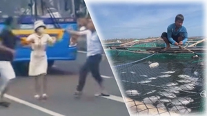 Góc nhìn trưa nay: Khi chuyện nhỏ thành án lớn; Người nuôi cá đầm Cù Mông ‘trắng tay’ sau bão