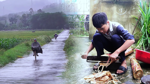 Chuyện của Khôi và Hạnh