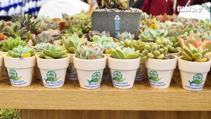 Sôi nổi chương trình ‘Đổi rác tái chế nhận quà’ tại Ngày hội Việt Nam Xanh 2025