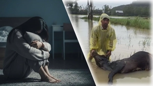 Góc nhìn trưa nay: Tố vợ/chồng cưỡng ép quan hệ ở đâu, thế nào? Bò chết la liệt ở rốn lũ Đắk Lắk