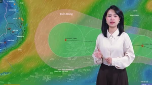 Thời tiết đêm 24 ngày 25-11: Biển Đông sắp có bão số 15, dự báo ảnh hưởng khu vực Gia Lai - Lâm Đồng