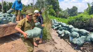 Gia cố bờ rạch ứng phó triều cường tại xã Đông Thạnh, TP.HCM