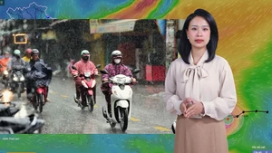 Thời tiết đêm 4 ngày 5-11: Bão Kalmaegi gây sóng cao 10m; Bắc Bộ rét, Trung Bộ và Nam Bộ mưa to