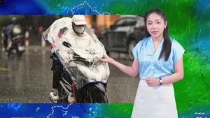 Thời tiết đêm 12 ngày 13-12: Bắc Bộ rét hại; Trung Bộ và Nam Bộ có mưa dông