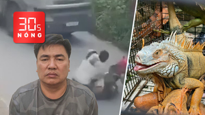 Bản tin 30s nóng: Khởi tố người đẩy CSGT vào xe tải; Phát hiện 75 con rồng Nam Mỹ nuôi không phép